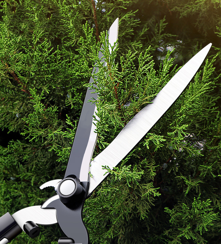 Uses of Hedge Shears