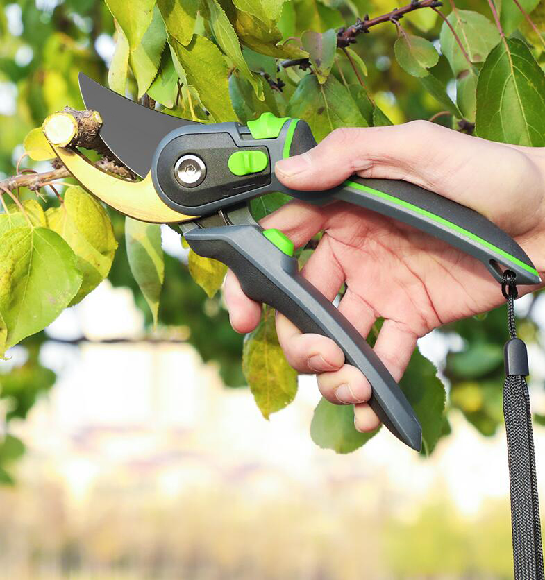 Hand Pruning Shears