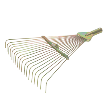 Choose the Best Grass Rake that Suits You