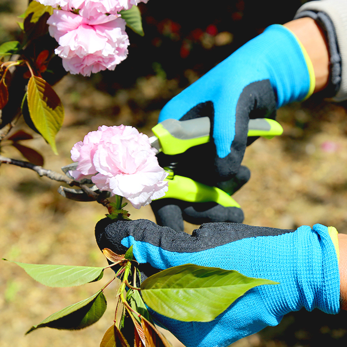 Gardening Gloves