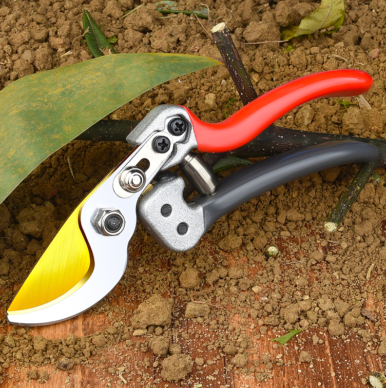 Hand Pruners