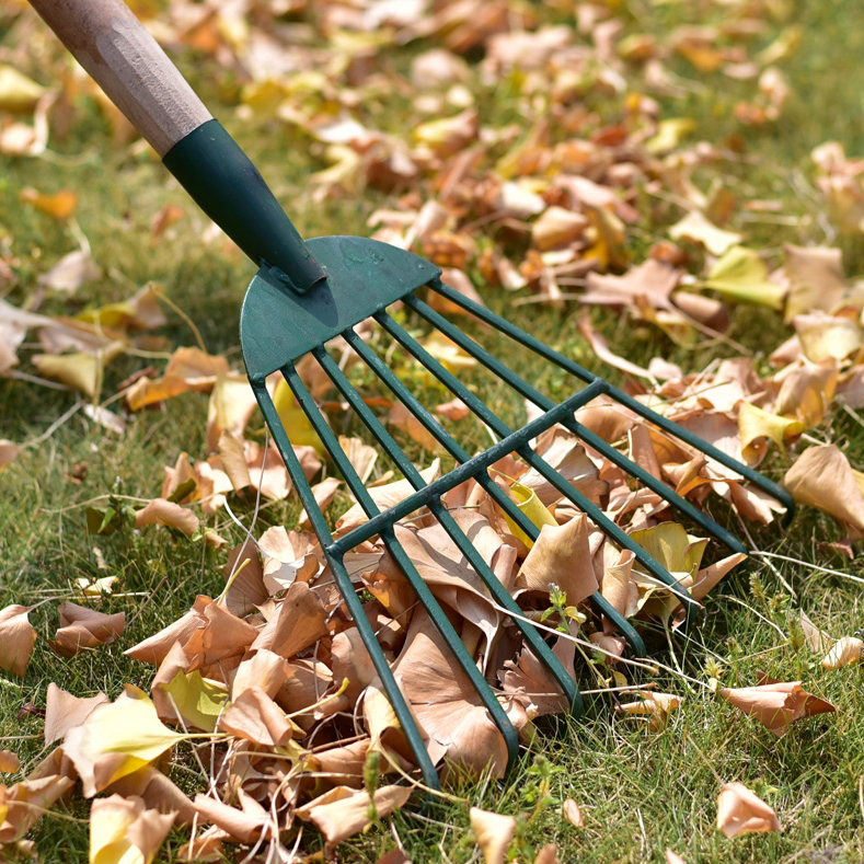 Understanding Essential Lawn Care Tools