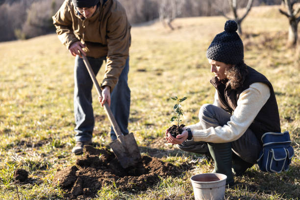 Fall and Winter Garden Jobs