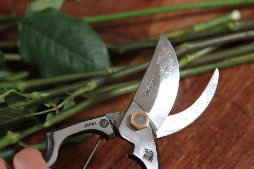 Cleaning and Sharpening Pruning Tools
