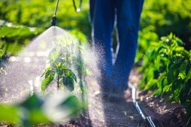 Garden Water Sprayer