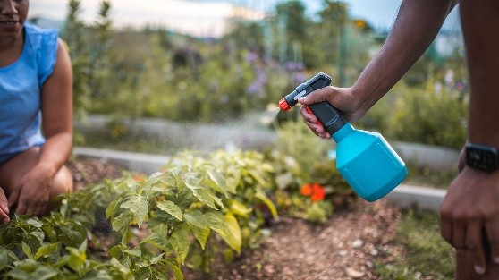 Garden Water Sprayer