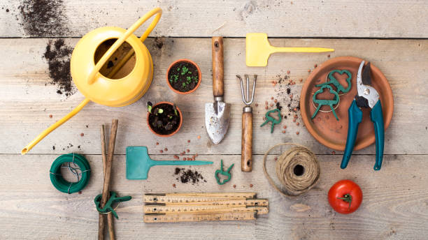 Basic Gardening Tools