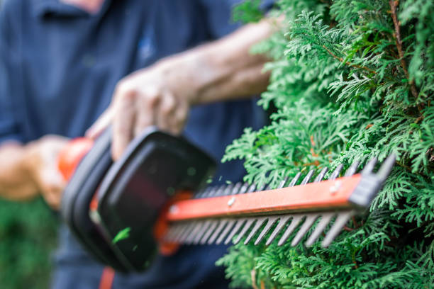 Power Hedge Trimmers