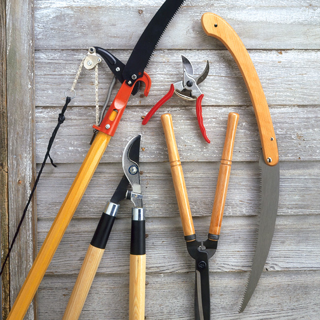 Pruners, Shears, and Loppers: Cutting Tools in Gardening