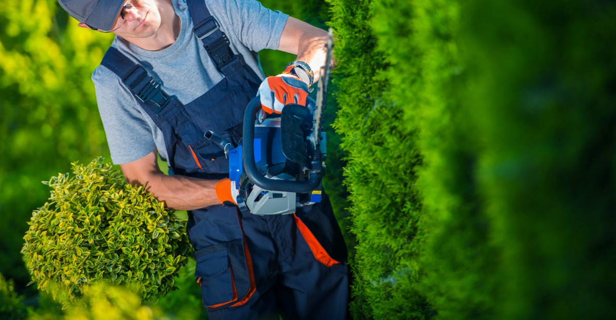 Electric Hedge Trimmers in Gardening