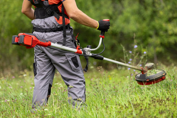 Brush Cutter