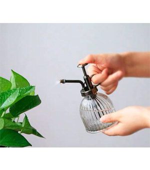 What do you Know About the Usefulness of a Kettle?