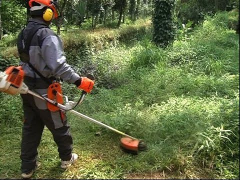 How to Choose the Best Brush Cutter - Gardepot