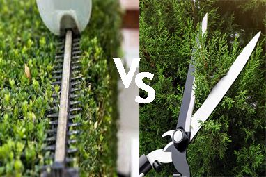 Hedge Trimmer Vs Hedge Shears: Which is Better? - Gardepot
