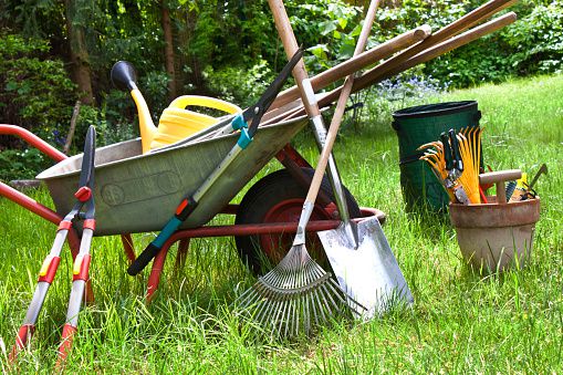 The History of Gardening Hand Tools