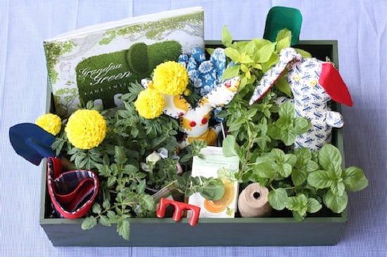 What are the Best Gifts for Gardening Lovers?