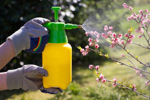 Full Guide on Garden Water Sprayers