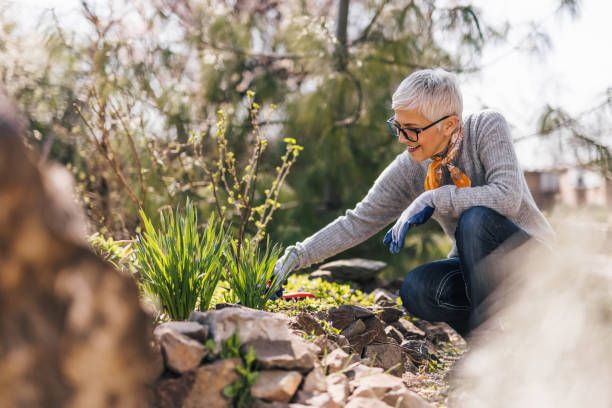 Essential Gardening Tools for Seniors