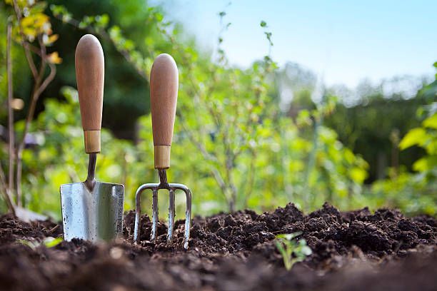 Useful Gardening Tools for Home Gardens