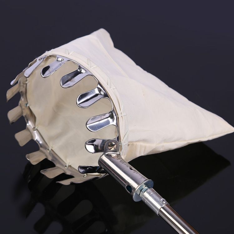 Stainless Steel Telescopic Fruit Picker